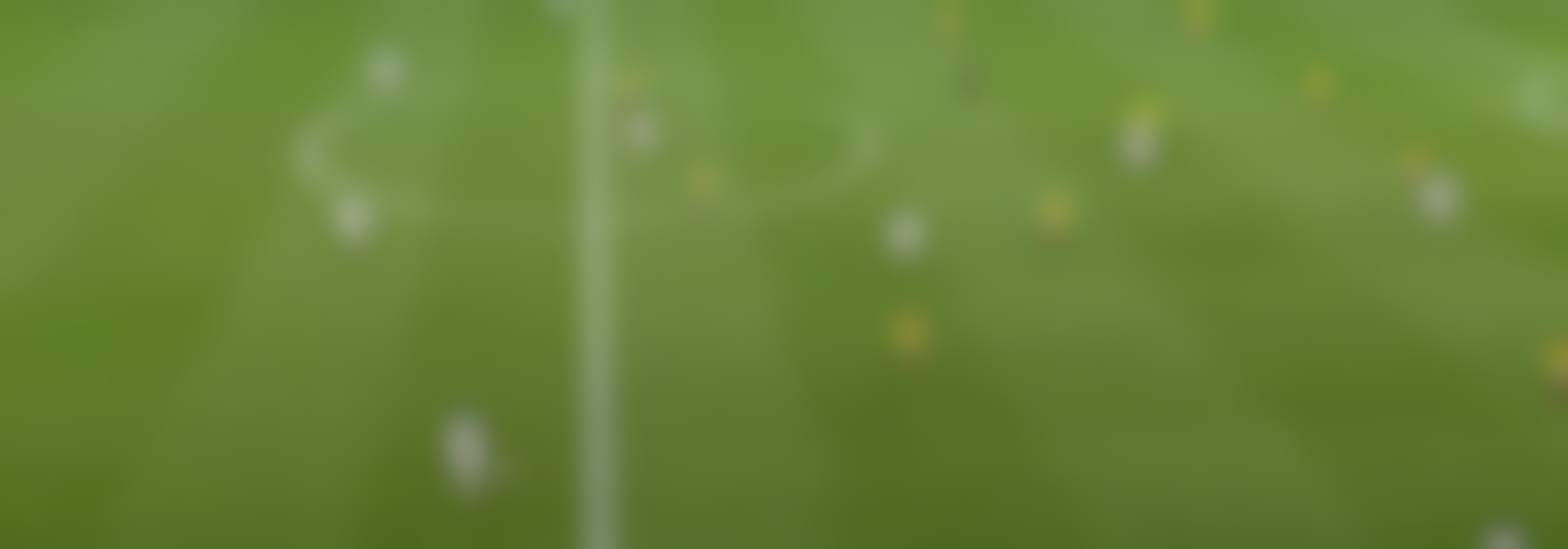 Colombia vs. Corea del Norte