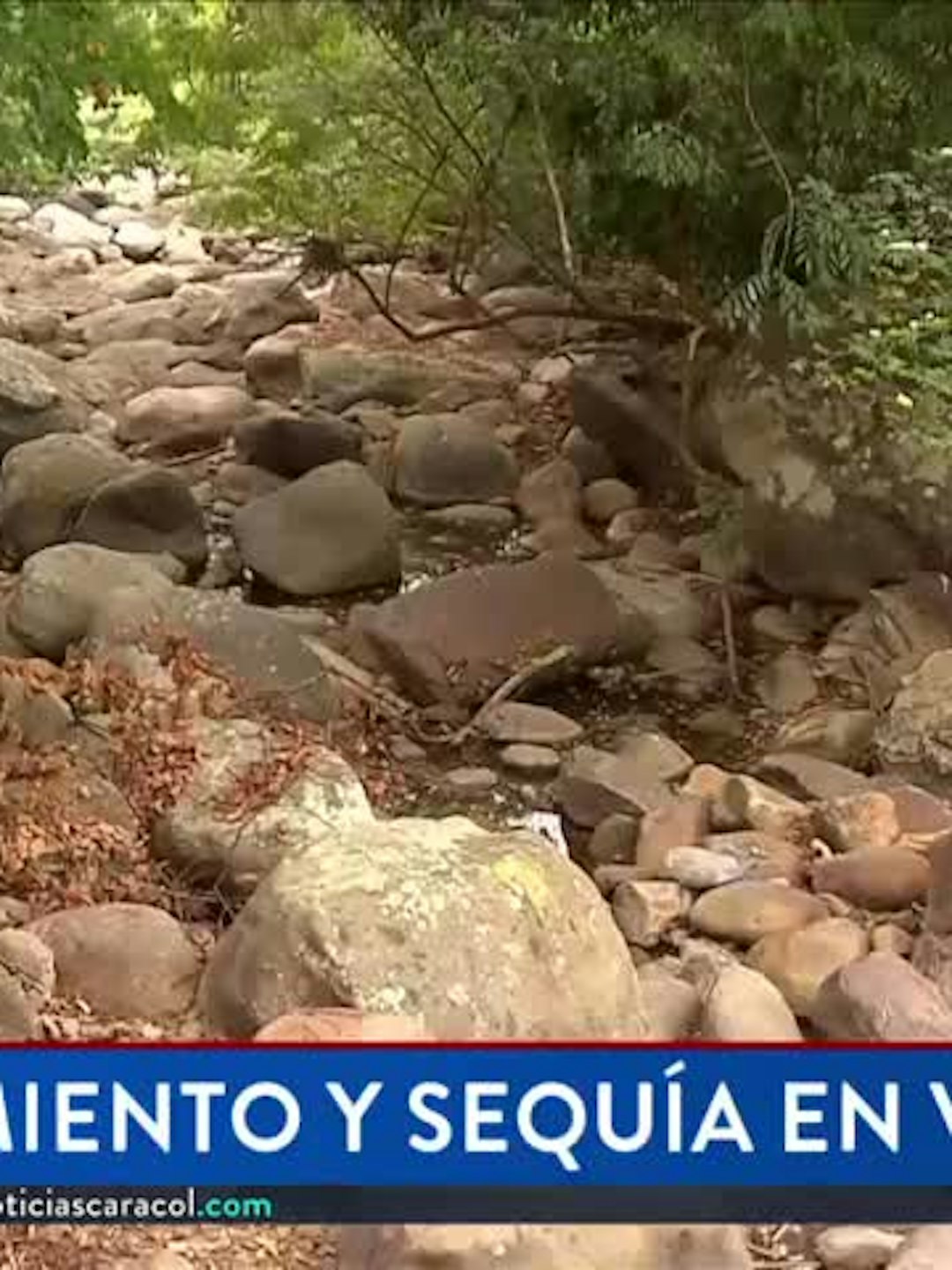 Edición Central - 17 Septiembre 2026