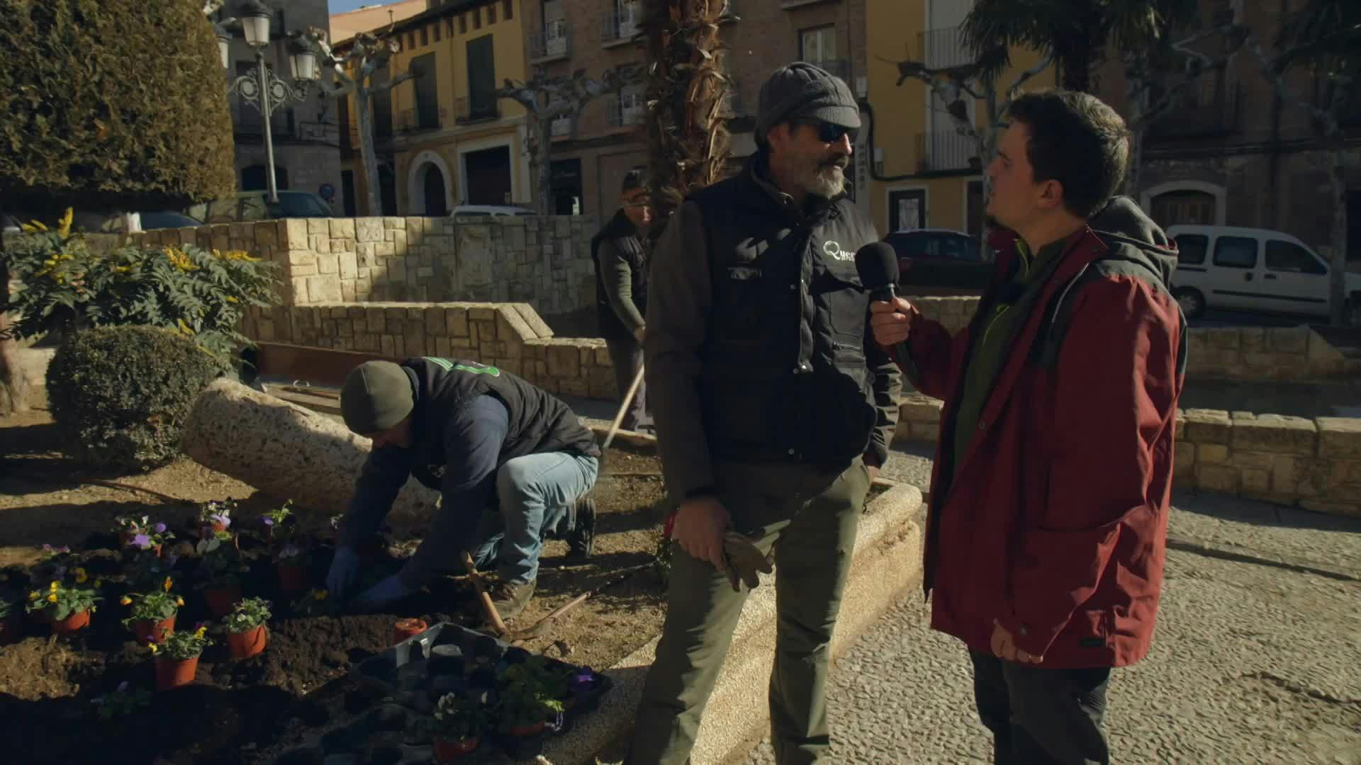Daroca