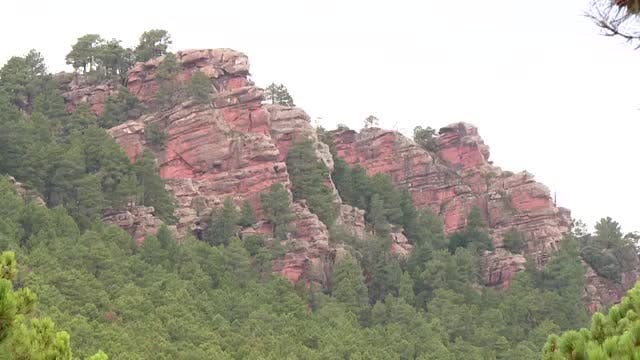 Pinares de Rodeno (Teruel)