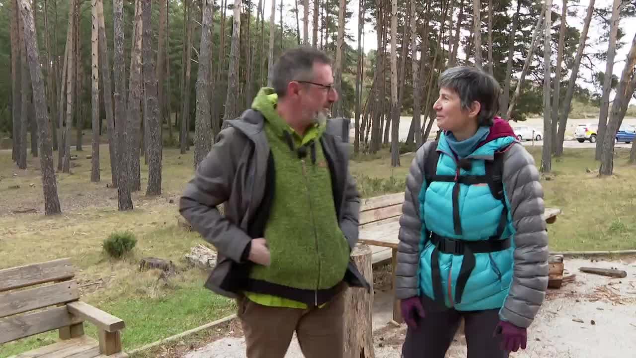 Bosque de Pegá (Bonansa-Huesca)