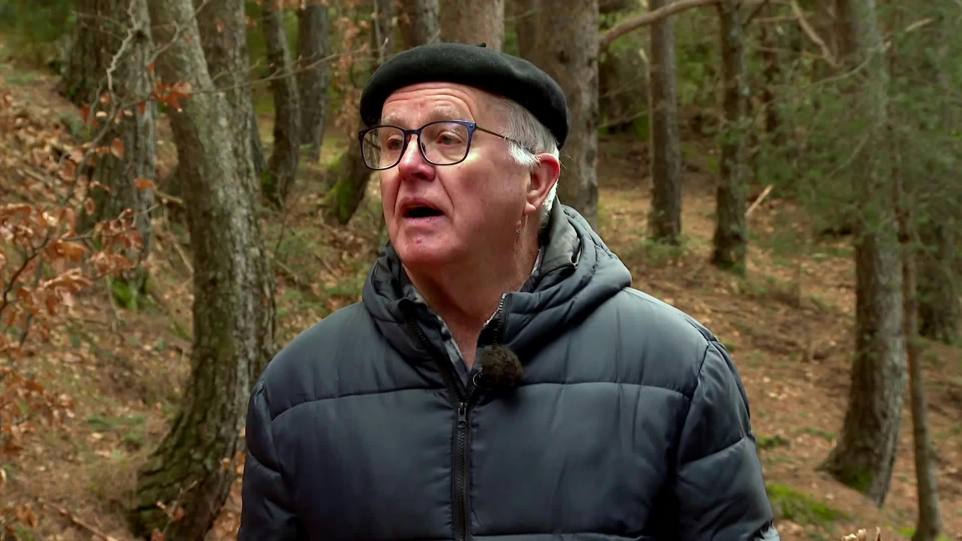Labati, un bosque de cuento (Huesca)