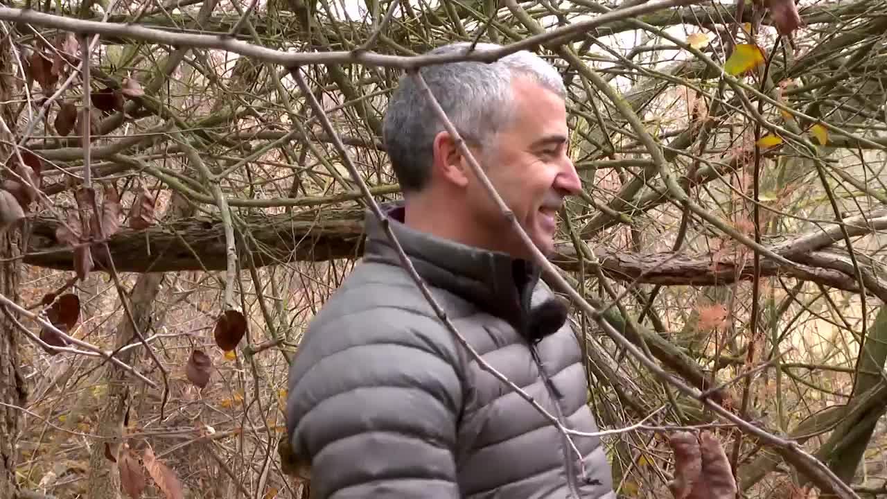 Reserva Natural de los Galachos del Ebro (Zaragoza)