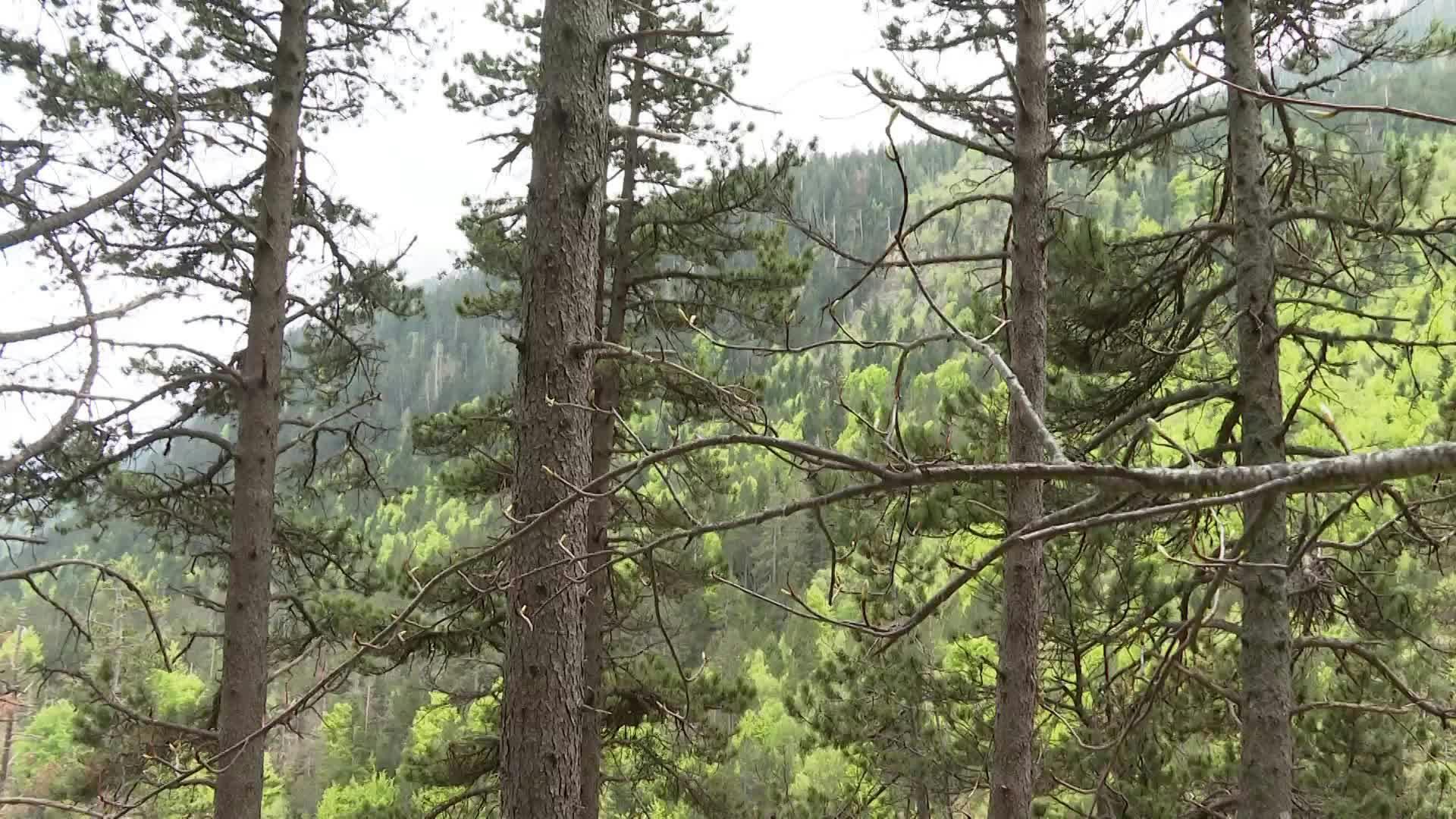 Valle de Estós (Huesca)