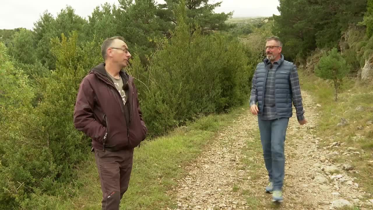 El bosque mágico de Tella (Huesca)