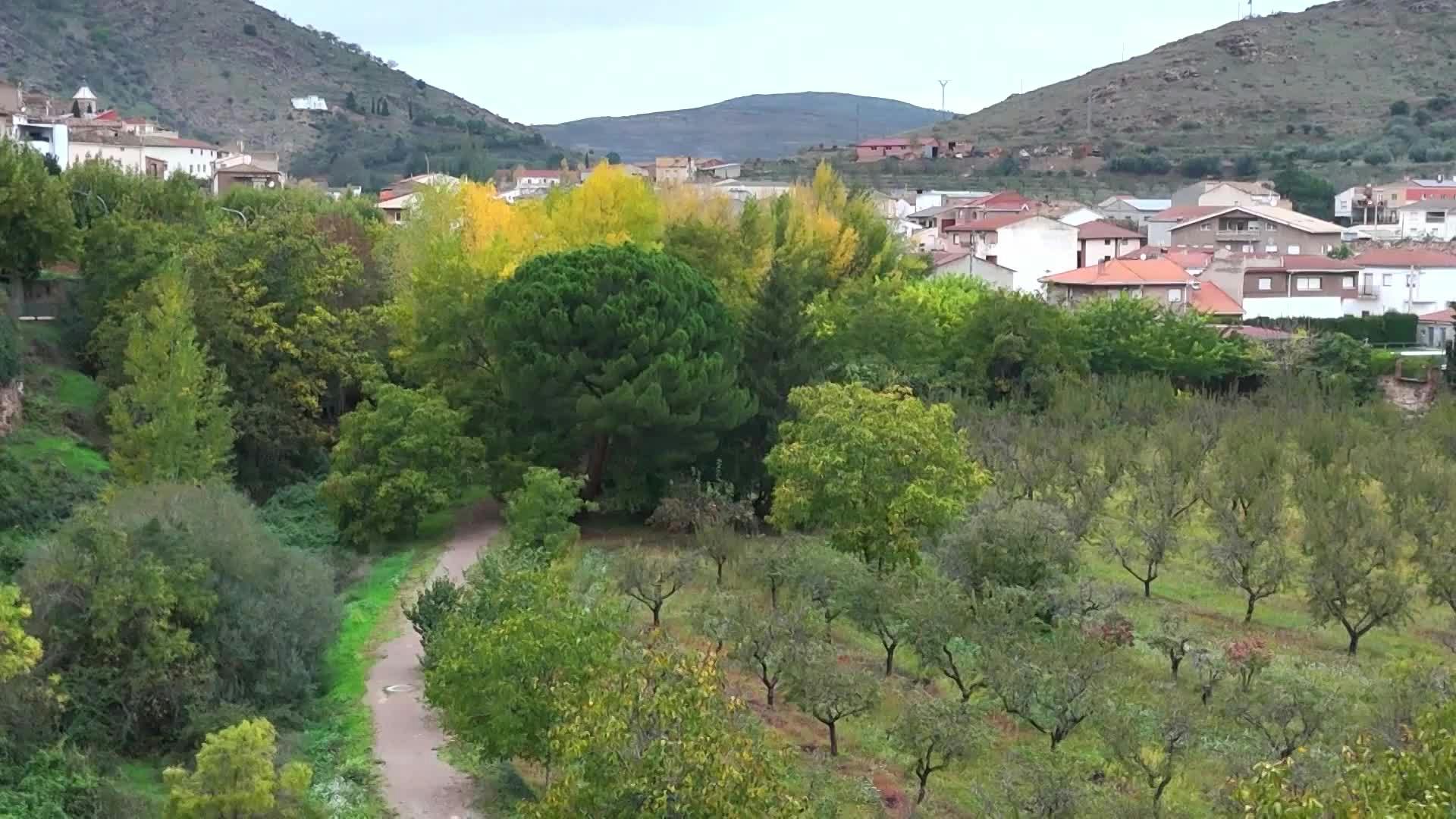 Senda fluvial del Aranda (Zaragoza)