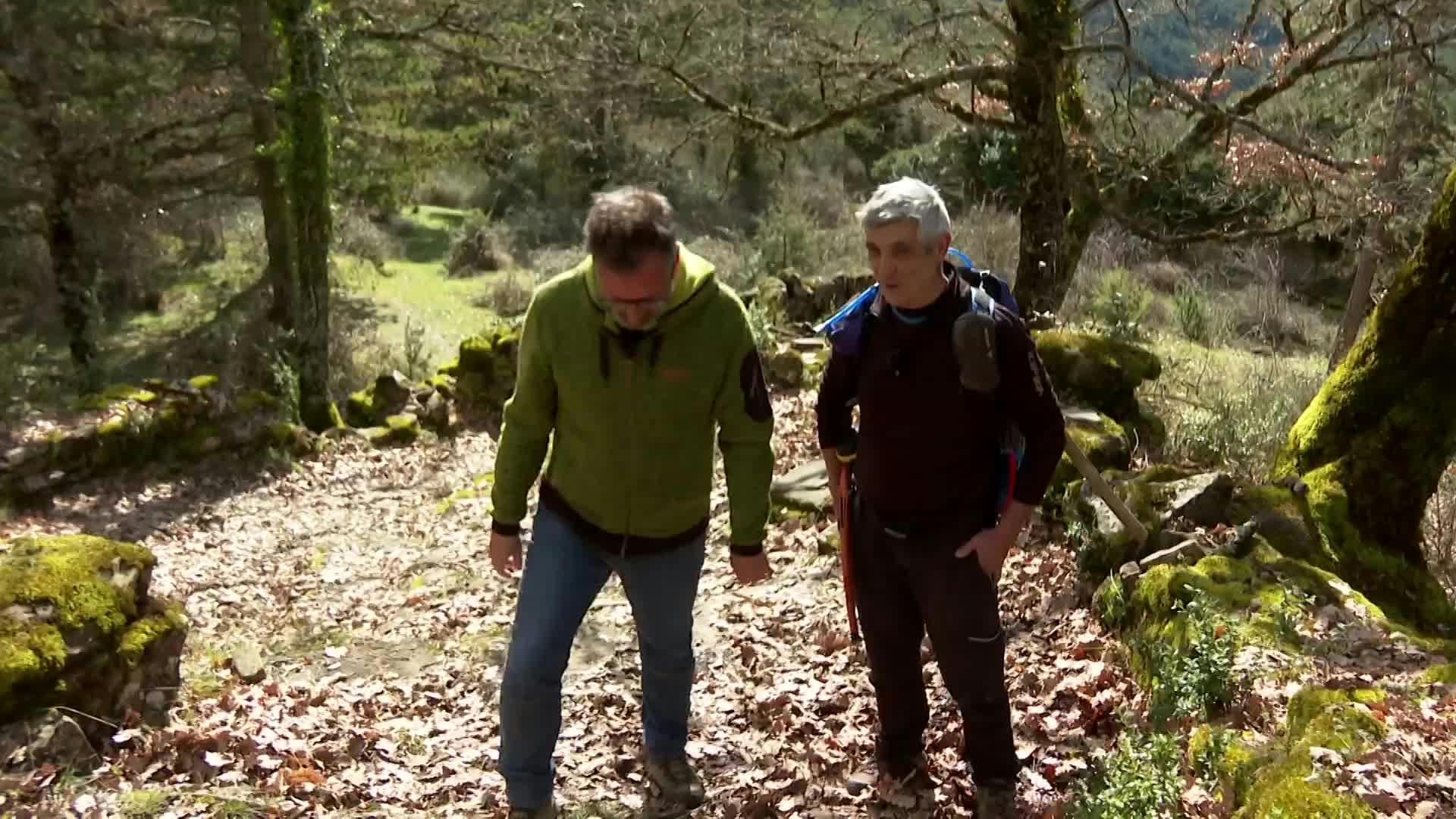 Bosques de la Solana (Huesca)