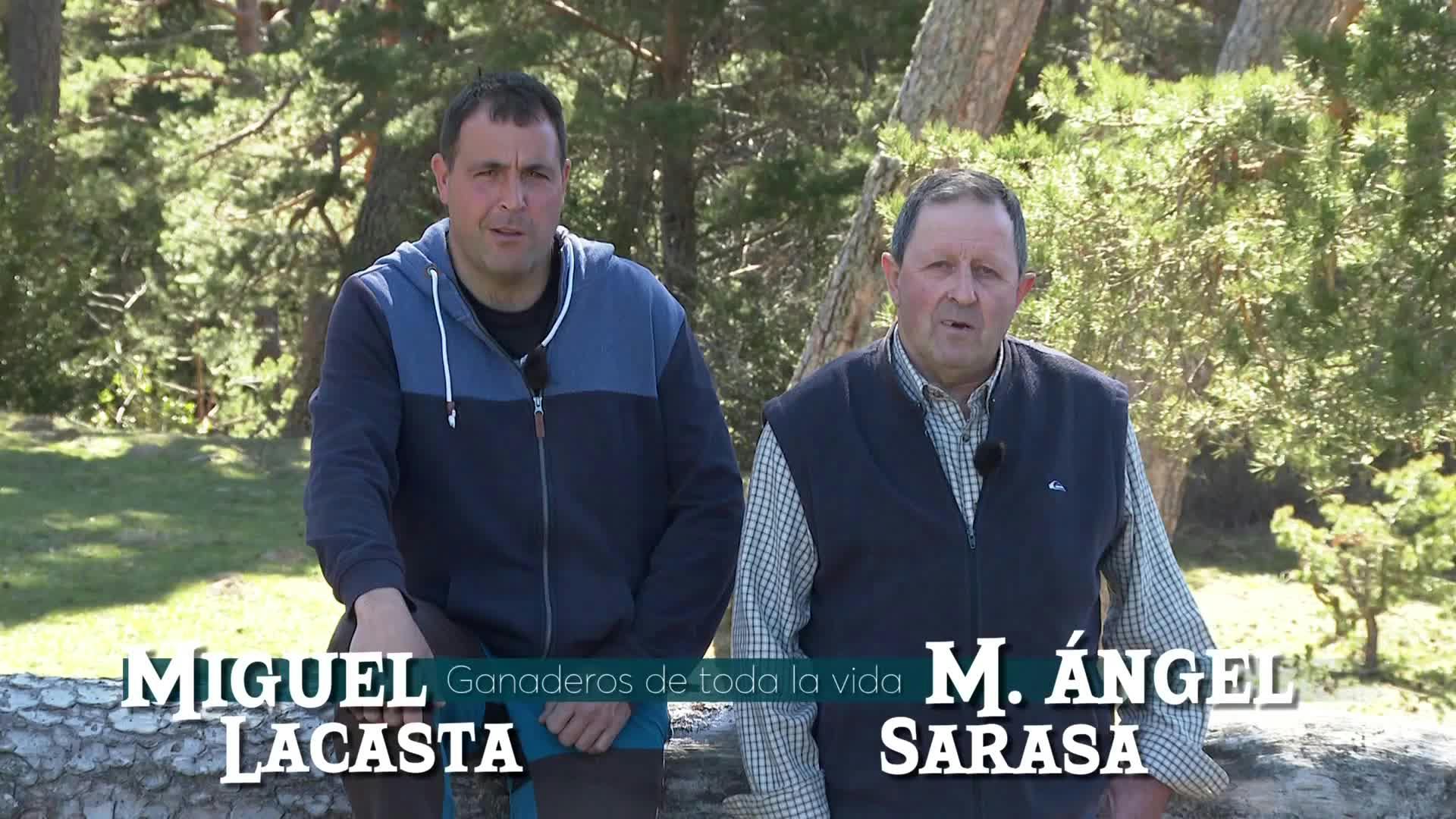Las Blancas de Borau (Huesca)