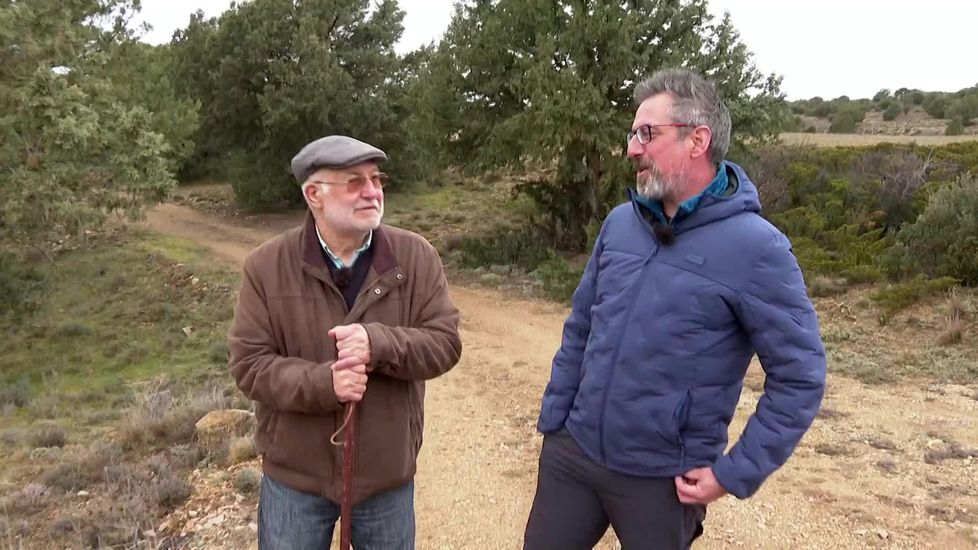 Sabinar de Monterde de Albarracín (Teruel)