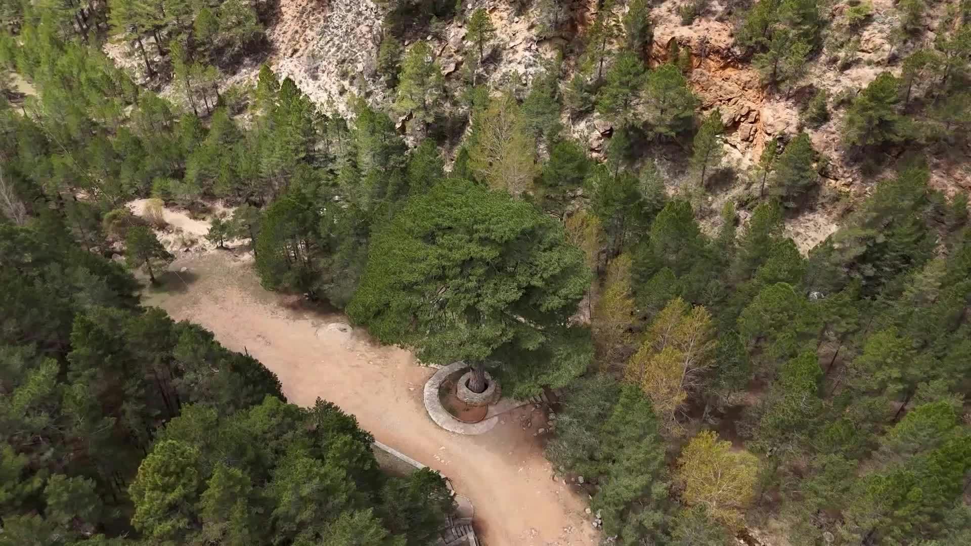 Linares de Mora (Teruel)