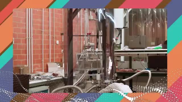 Conservación de alimentos y misterios de la ciencia