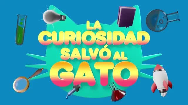 El vino y nuestro cerebro