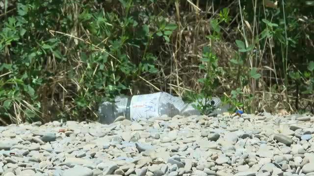 Prohibido bañarse