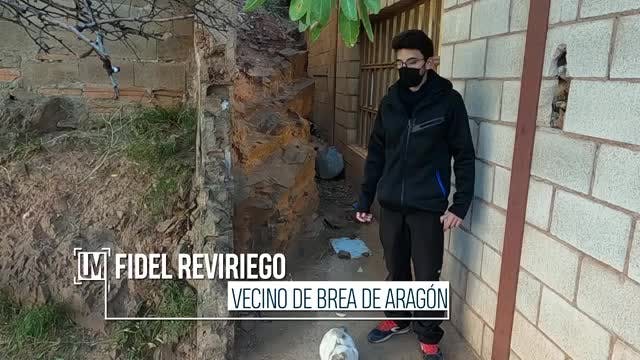 Maltrato animal