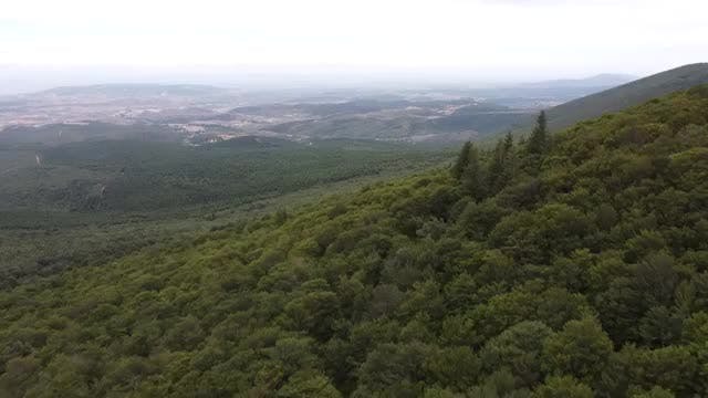 Moncayo