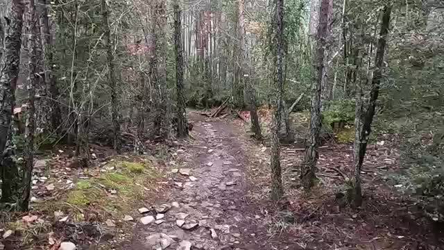 El otoño está de moda