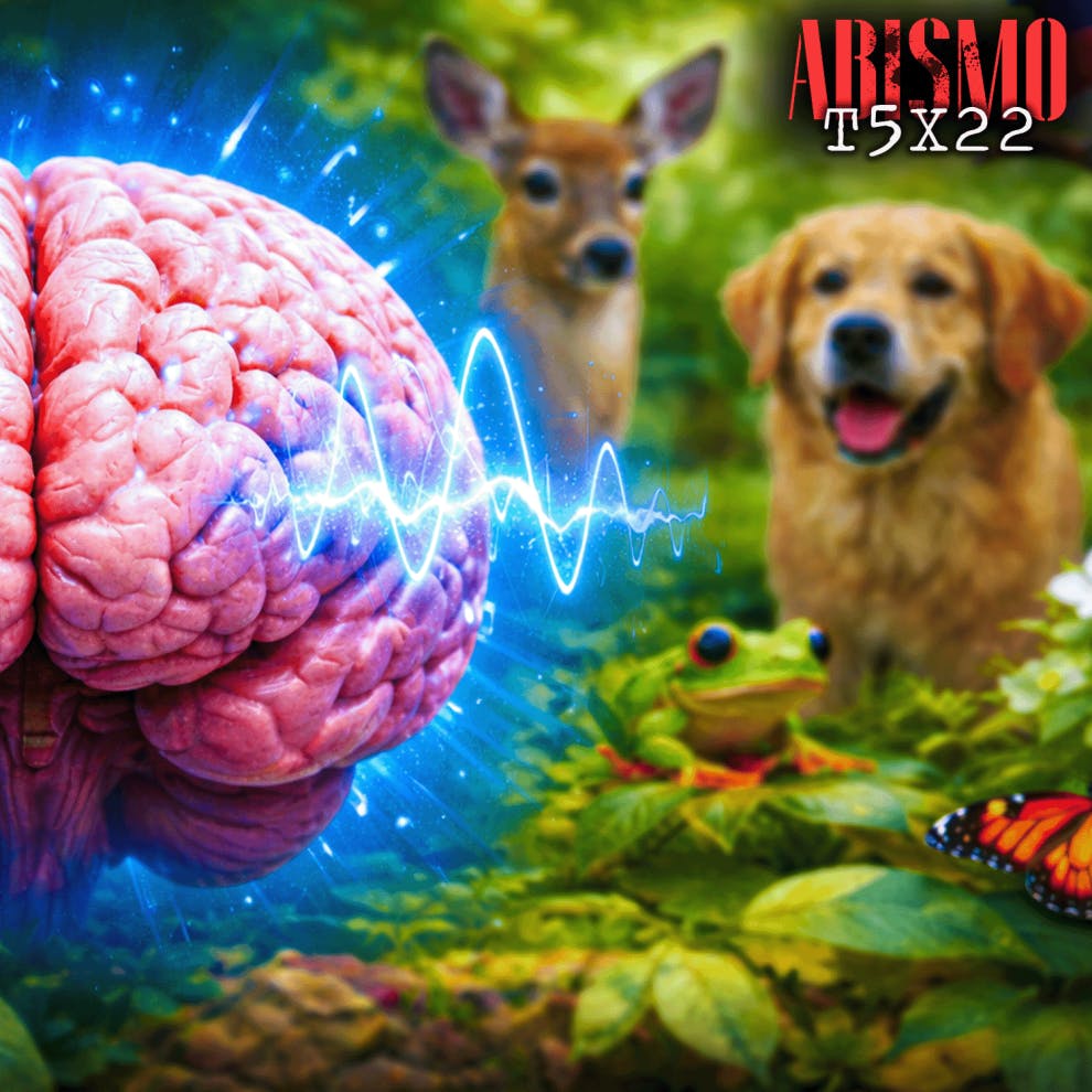 T05xP22. CONSCIENCIA VIVA