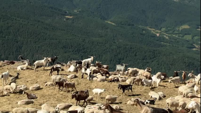 EL CAMPO ES NUESTRO - 2025-09-01
