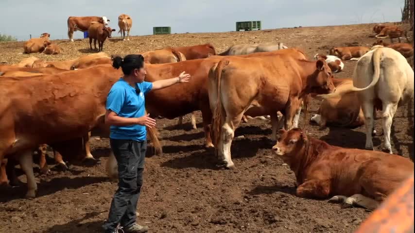 EL CAMPO ES NUESTRO - 2025-09-02