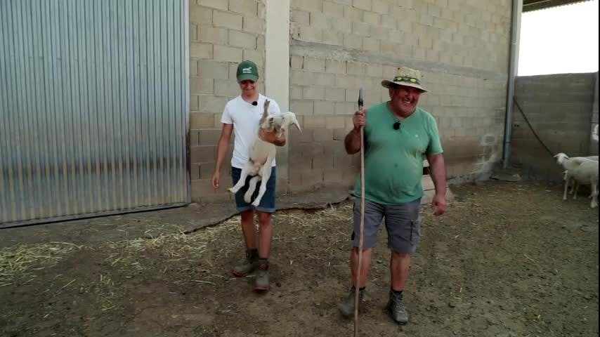 EL CAMPO ES NUESTRO - 2025-09-03