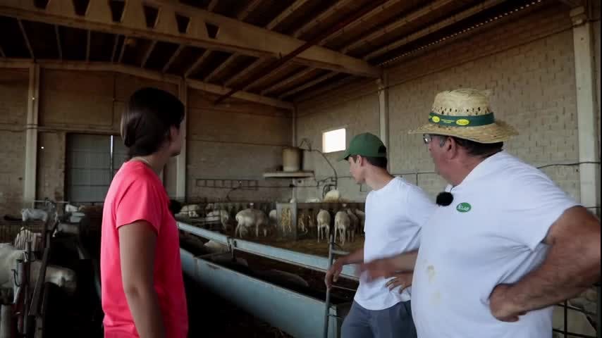 EL CAMPO ES NUESTRO - 2025-09-15