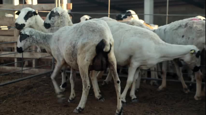 EL CAMPO ES NUESTRO - 2025-09-17