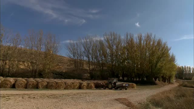 Rillo y Piedratajada