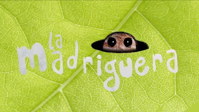 LA MADRIGUERA - Capítulo 15