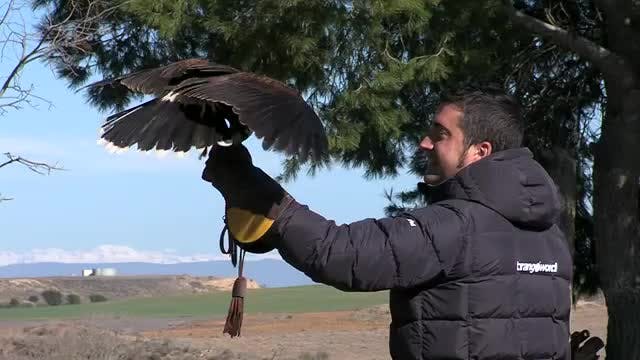 LA MADRIGUERA - Capítulo 25