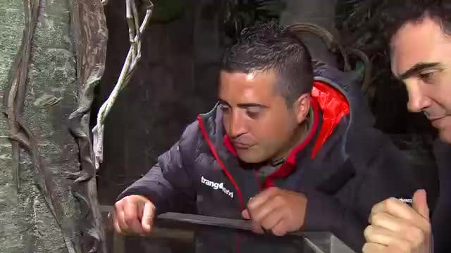 LA MADRIGUERA - Capítulo 31