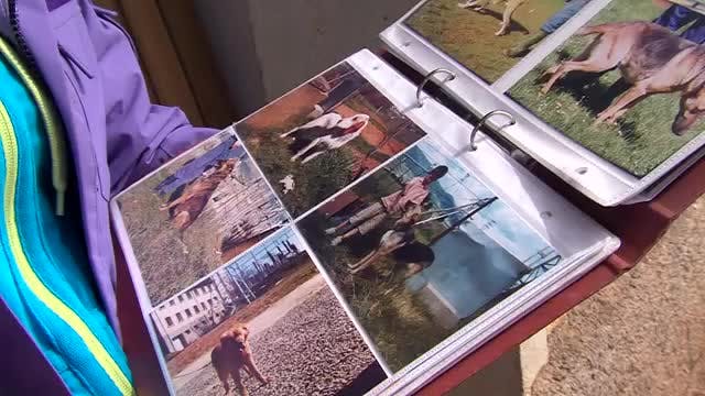LA MADRIGUERA - Capítulo 39
