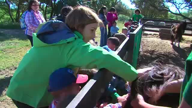 LA MADRIGUERA - Capítulo 35