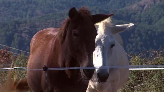 LA MADRIGUERA - Capítulo 9