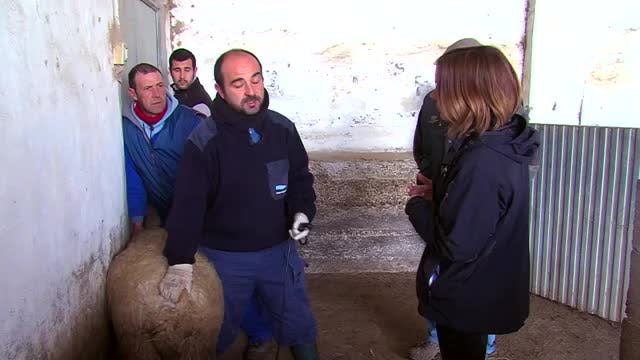 LA MADRIGUERA - Capítulo 26
