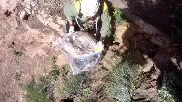 LA MADRIGUERA - Capítulo 36