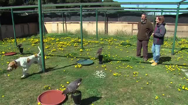 LA MADRIGUERA - Capítulo 31