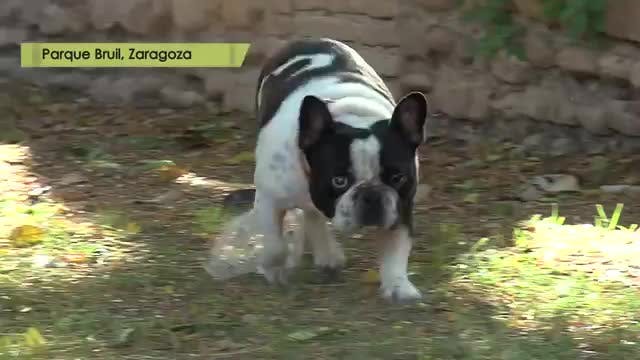 LA MADRIGUERA - Capítulo 9