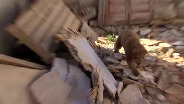 LA MADRIGUERA - Capítulo 8