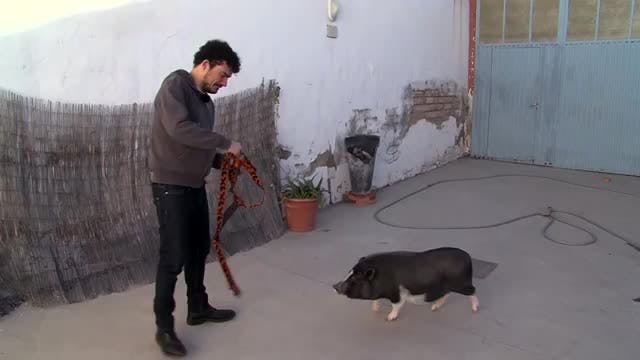 LA MADRIGUERA - Capítulo 14