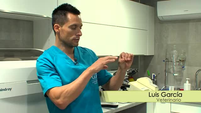 LA MADRIGUERA - Capítulo 17