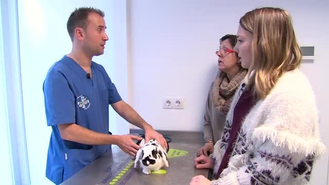 LA MADRIGUERA - Capítulo 15