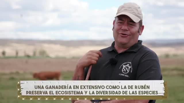 VANITY FARM - Capítulo 4