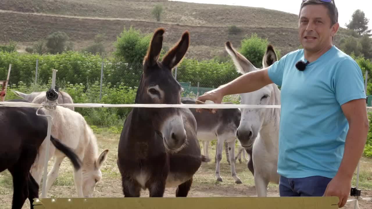 VANITY FARM - Capítulo 9