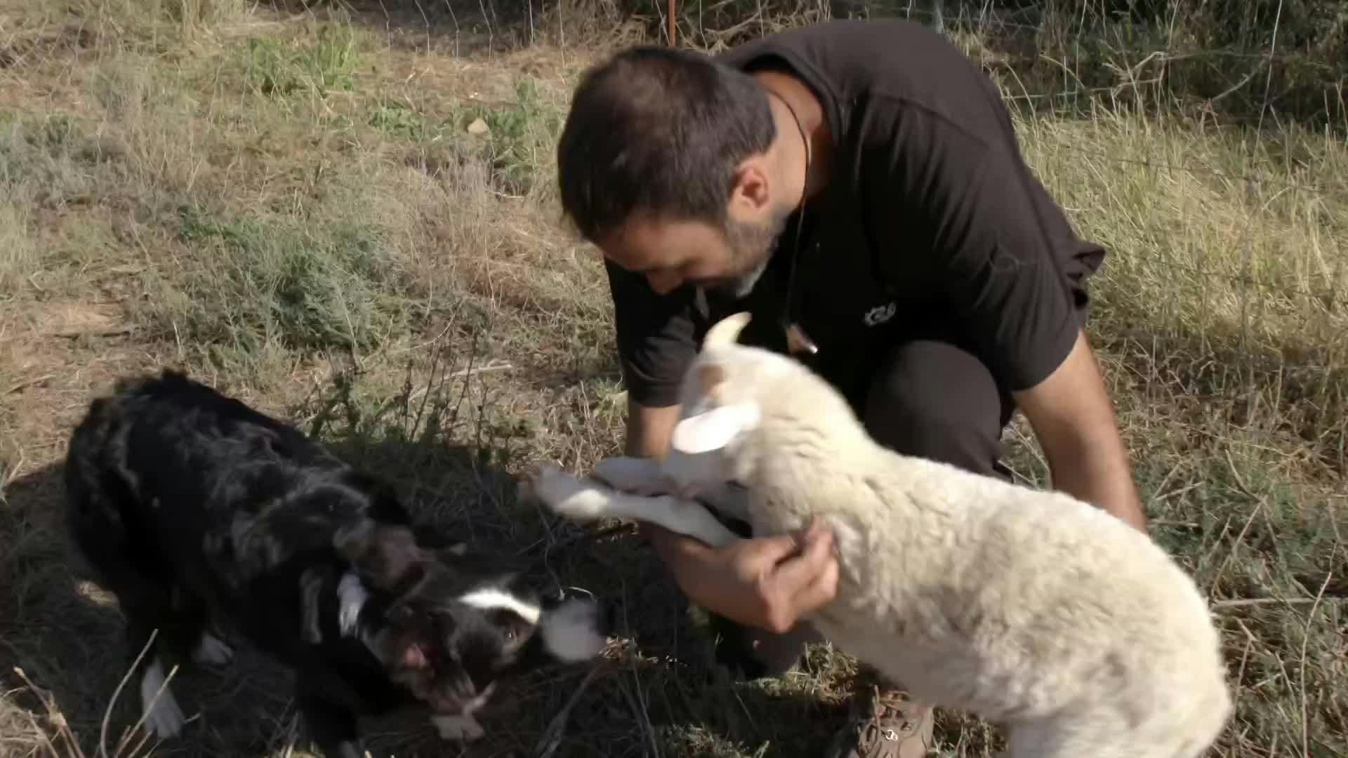 VANITY FARM - Capítulo 13