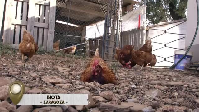 VANITY FARM - Capítulo 17
