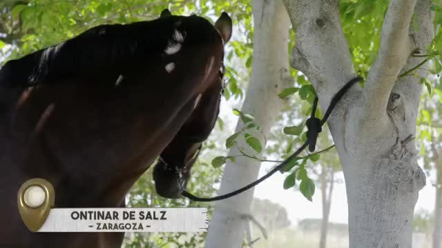VANITY FARM - Capítulo 18