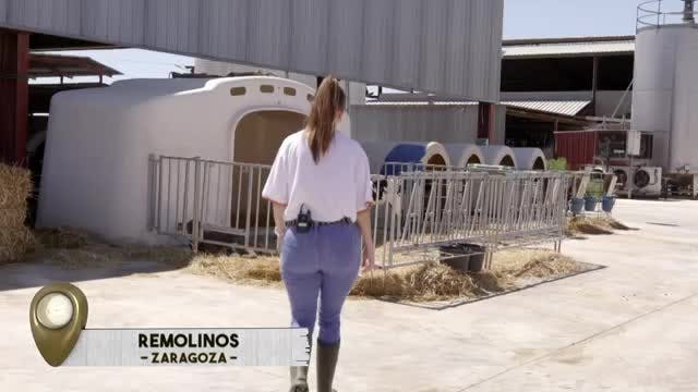 VANITY FARM - Capítulo 19