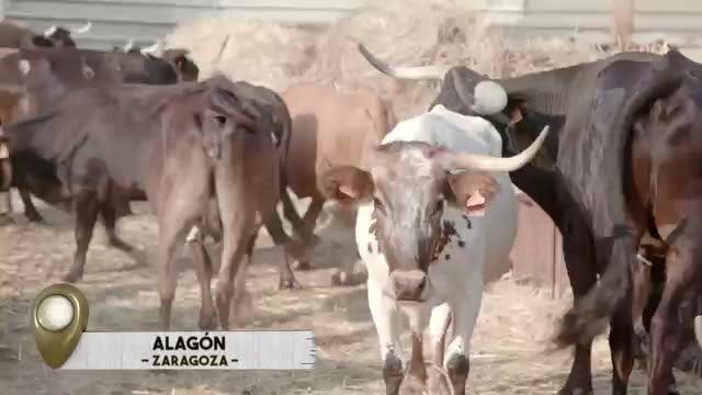 VANITY FARM - Capítulo 23