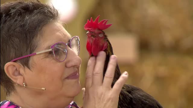 VANITY FARM, LA GALA - Capítulo 3