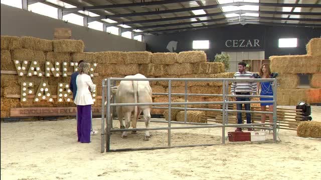 VANITY FARM, LA GALA - Capítulo 7